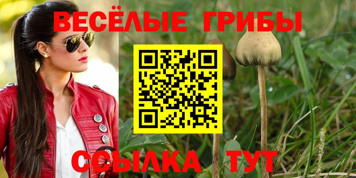 Псилоцибиновые грибы мицелий Санкт-Петербург