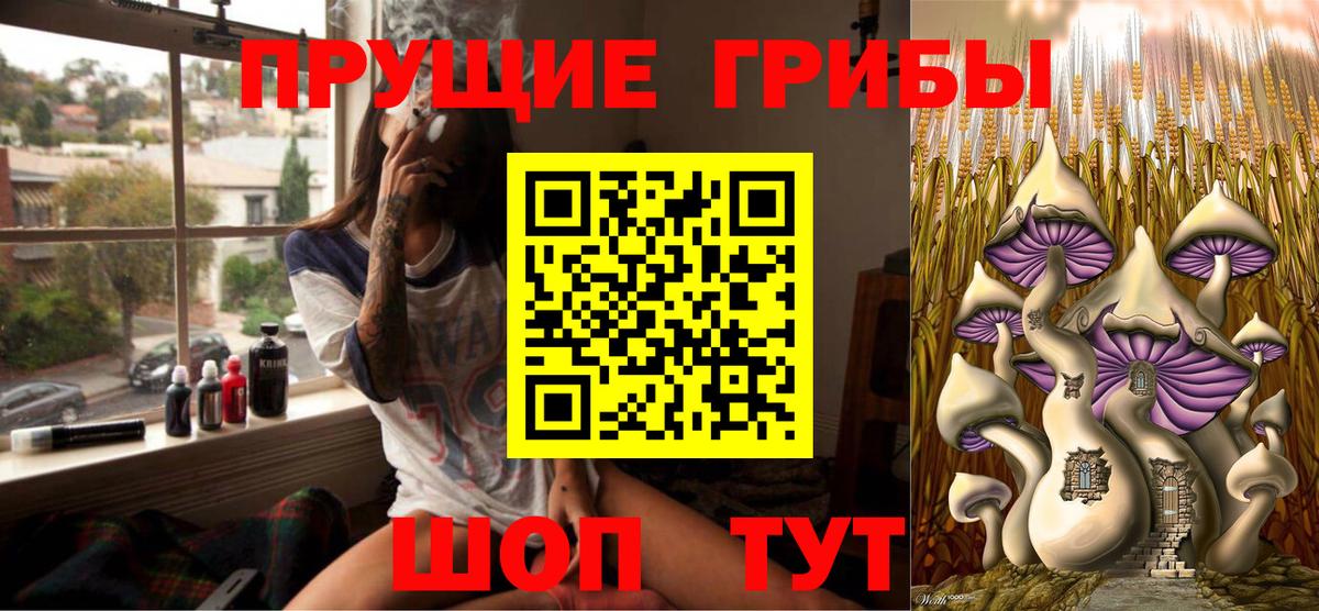 Галлюциногенные грибы мухоморы  Псилоцибиновые грибы GOLDEN TEACHER  Вход с VPN  Санкт-Петербург 